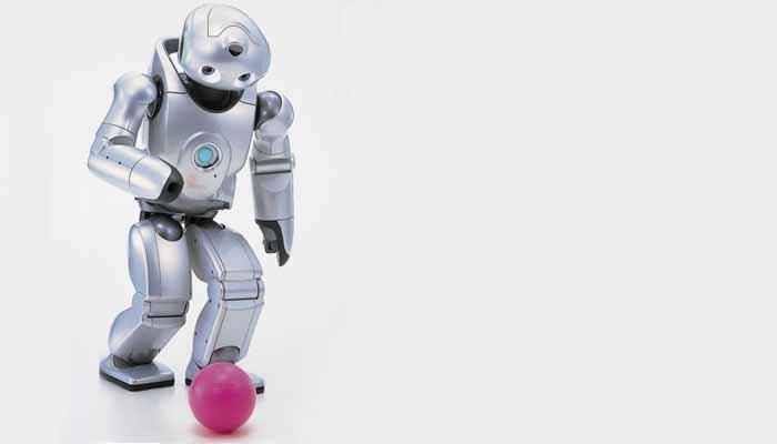 İnsansı Robotlar 2017